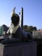 Egipetsky brg
Sphinx in St Petersburg